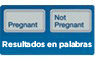 Respuestas en palabras